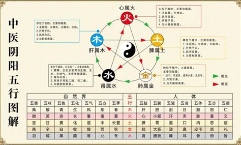 五行相侮|中医基础理论中英文版之五行相乘和相侮*The over。